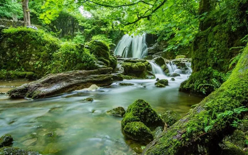 高端智能系统独特